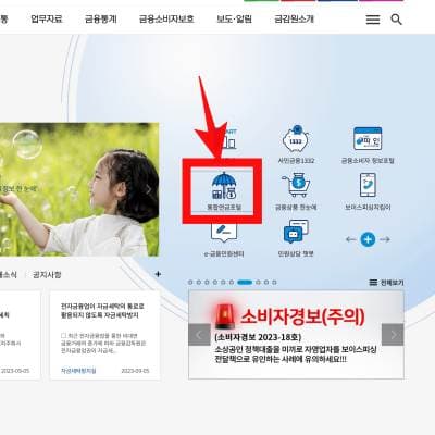 fss_main_page {caption: 통합연금포털 들어가기}