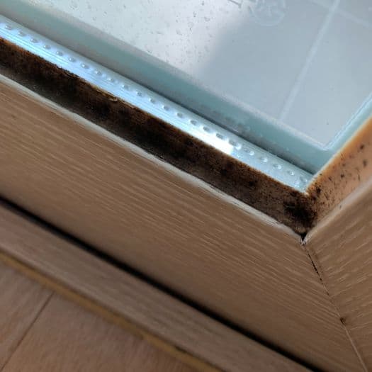 fungus_deletion_before {caption: 곰팡이 피어있는 실리콘}