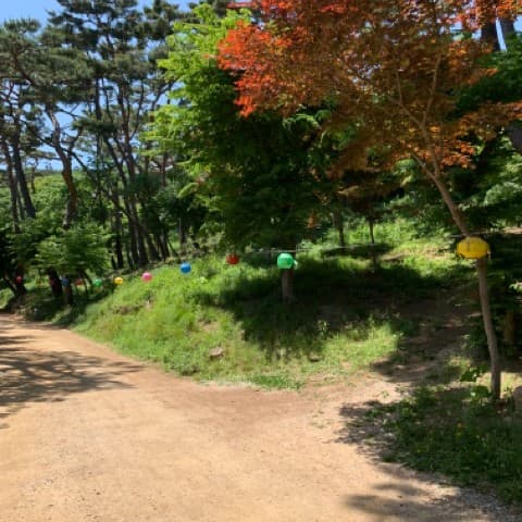 전등사-가는-길-사진 {caption: 전등사로 가는 길}