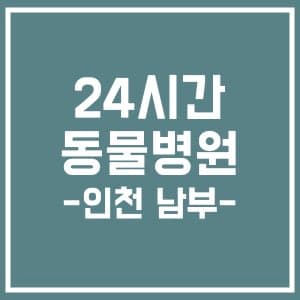 24시간 주말 동물병원 - 인천 남부권