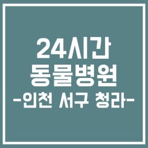 24시간 주말 동물병원 - 인천 서구, 청라권