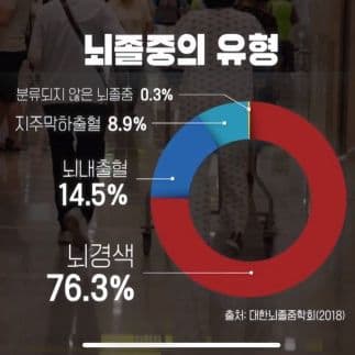 stroke_type {caption: 뇌졸중 유형}